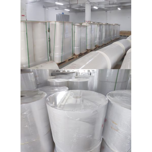 Custom Size Thermal Label Paper Roll with Water Base Permanent Adhesive
