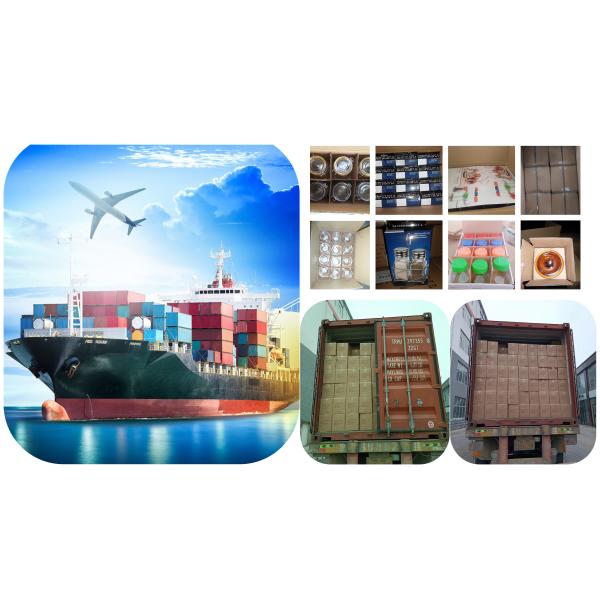 Qingdao Hoshine Joy I&M CO.,Ltd