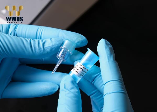 Gaveta rápida do reagente do diagnóstico WWHS de Kit IFA Colloidal Gold POCT do teste de CRP IVD