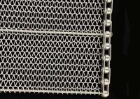 o fio Mesh Conveyor Belt Stainless Steel de 1mm equilibrado tece a espiral para o cozimento