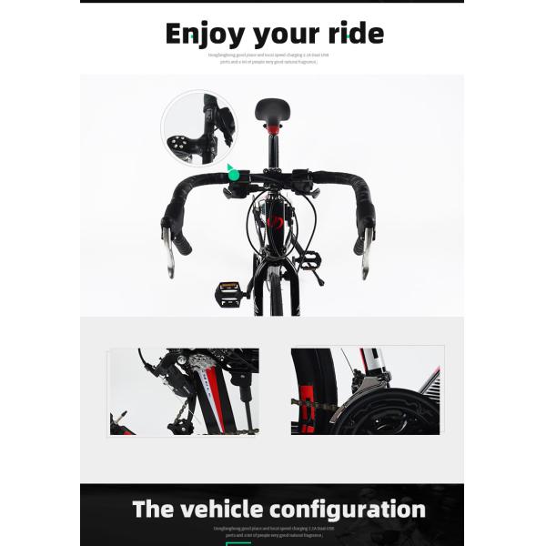 Adult Road Bike Carbon Frame Road Bicycle with 700*25C Tire and MicroNEW System