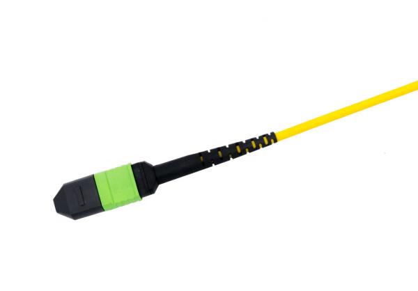 12 Core MPO MTP TO 12 LC Duplex patch cord