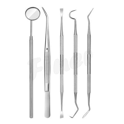 Outils dentaires Kit miroir de bouche Kit d' hygiène dentaire Kit pour le nettoyage des dents