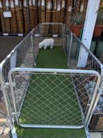 10' Large Animal Dog Cage Kennel Hot Dipped Galvanized Chain Link Kennel