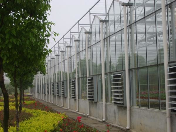 Section 4m Commercial Glass Greenhouse Exquisite Beautiful Galvanized Steel Frame
