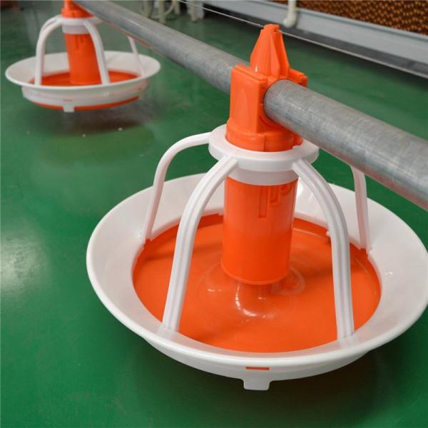 Automatic 75-100cm Poultry Pan Feeding System For Ducks Drinker