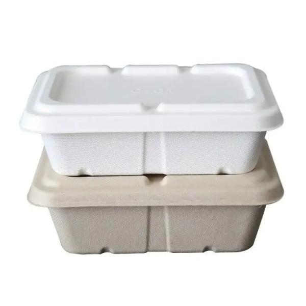 Disposable Compostable Biodegradable Take Out Fast Food Packaging Takeaway