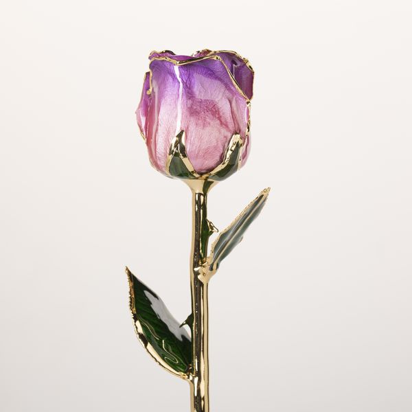Gold Plated Rose Fresh Preserved Flower Gold Plated 24k Gold Plated Rose Eternal Roses Flower Mother's Day