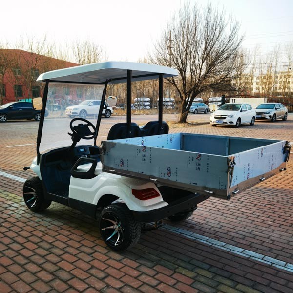 Electric Golf Buggy Cart Truck 4 Wheel Motorised Factory Hot New Design Luxury