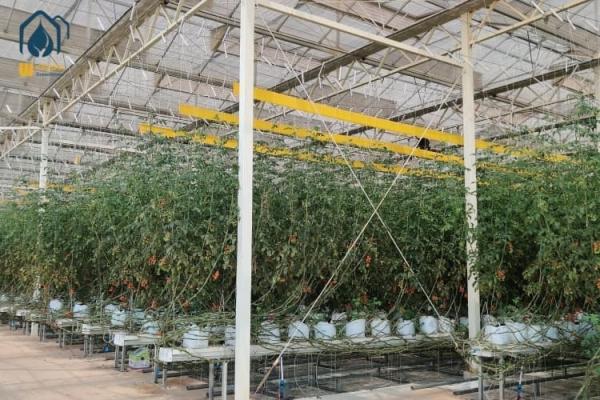 Greenhouse Steel Substrate Planting Gutter Agricultural Hydroponic System For Tomatoes