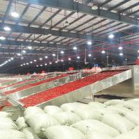 Shouchuang máquina secadora de chile automática 1-50 toneladas de capacidad equipo de secado picante