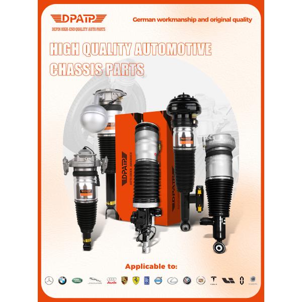 Maserati Quattroporte M139 248256 Задняя электронная подвеска