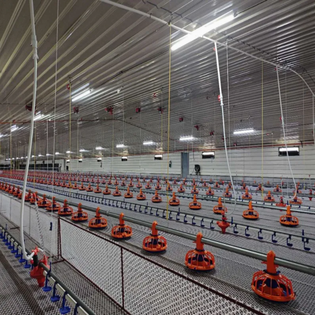 Customizable Modern Smart Automated Control Galvanized Steel Poultry Farm Equipment with Modular Design