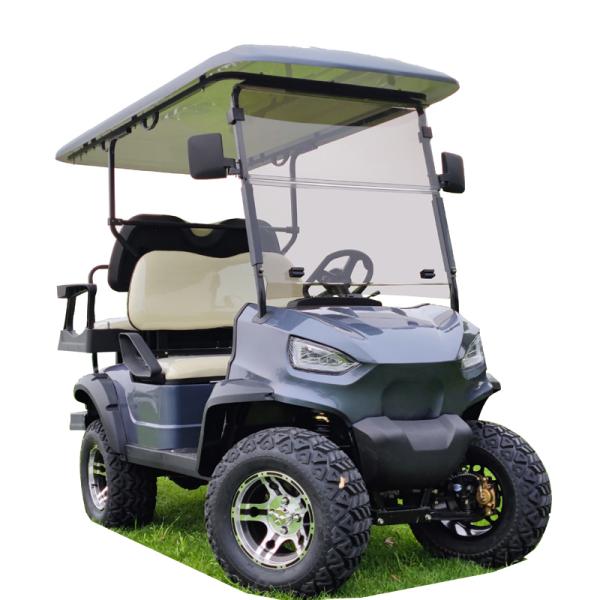 Custom Club Hunting Car Electric Golf Carts 4 Seats 2 2 Fast Charging 8 Hours Custom