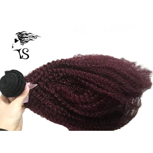 Kinky Curly Burgundy Hair Extensions Human Hair , Virgin Ukraine Hair Extensions