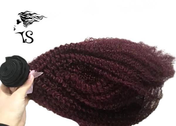 Kinky Curly Burgundy Hair Extensions Human Hair , Virgin Ukraine Hair Extensions
