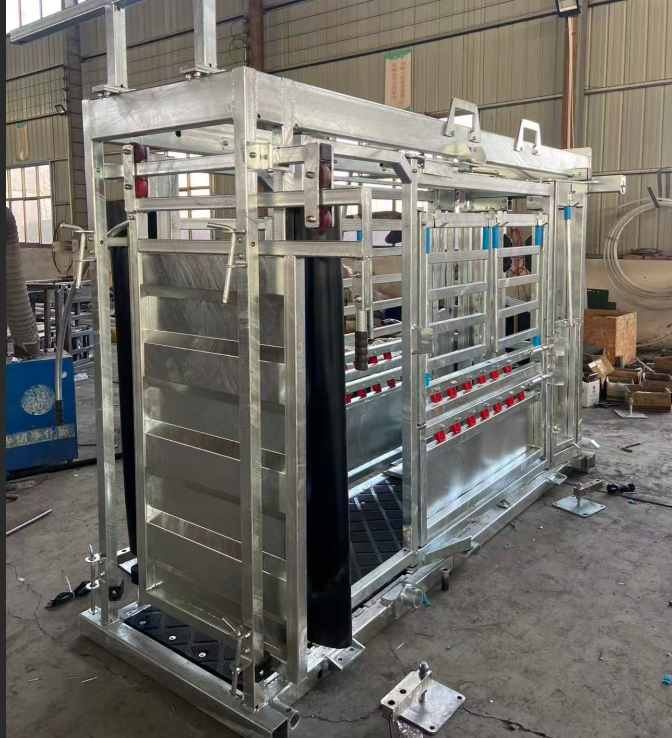  Galvanized Cattle Chute Crush With Extrusion And Weighting