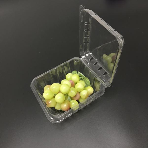 Corrosion Resistance Plastic Packaging Boxes Punnet Pack Box