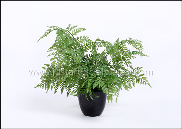 Сымитированное поддельное дерево папоротника, поддельные на открытом воздухе папоротники легкие для того чтобы позаботить с керамическим как бак
