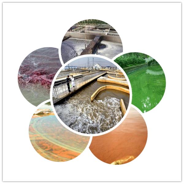 Видеосюжет Исходящая инспекция MBR Оборудование для очистки сточных вод с биологической обработкой