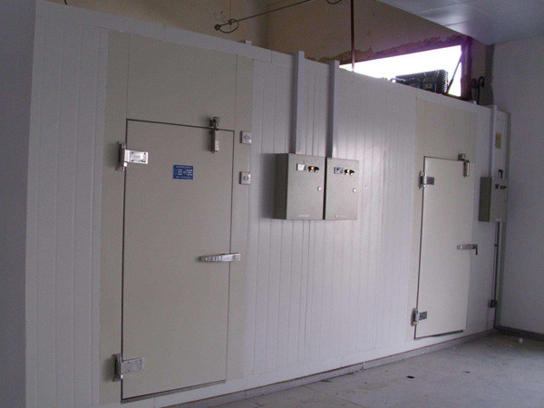 Коммерческий глубокий морозильник холодная комната мясо рыба цветы ходят в прохладном холодильном хранилище