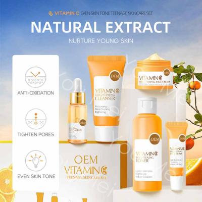 Natural Hydrating Vitamin C Skincare Products For Aging Brightening 100ML