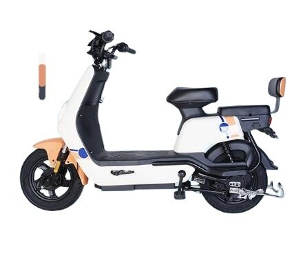 60V Herd Rear Hub Motor Single Speed Race Bike with 14*2.5 Tubeless Tire Size and Steel Frame