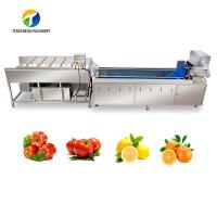 Vegetal dos SS 380V e máquina de lavar industriais do fruto