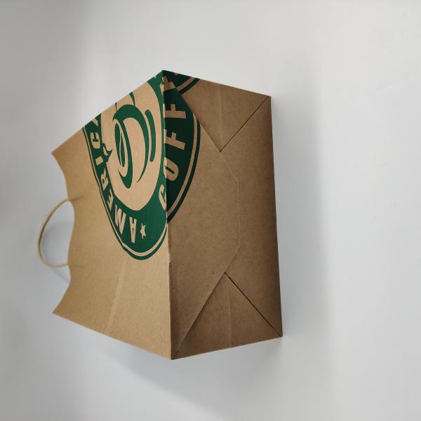 ISO9001 Custom Printed Paper Carrying Shopping Bags 120g 140g White Brown