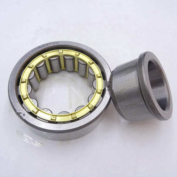 Rollway Cylindrical Taper Roller Bearing NU2314E With 70X150X51MM