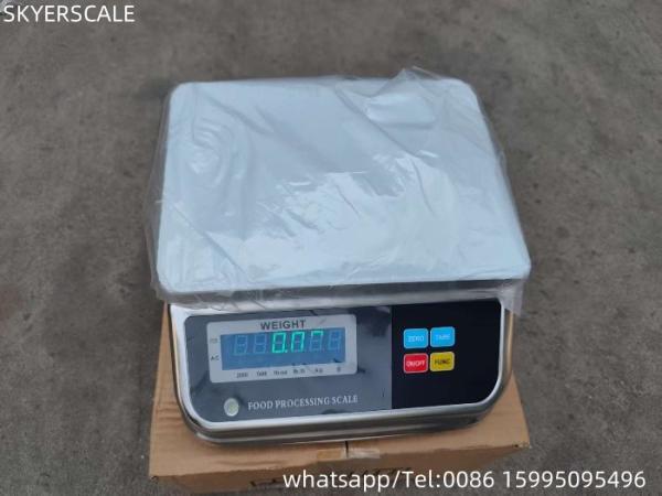 15kg Weight Measuring Waterproof Stainless Steel Sea Food Scale