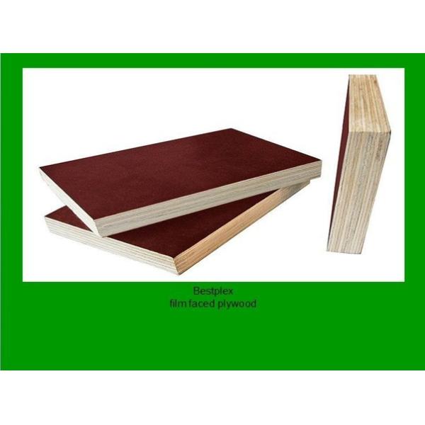 WBP film faced plywood