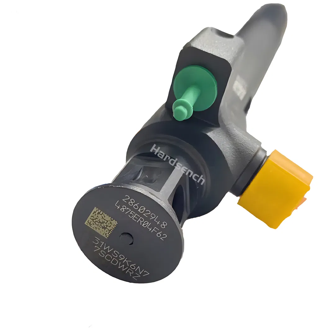 Ds7q-9f593-Bb 9674984080 28319895 28388960 28602948 Diesel Fuel Injector for Ford Peuge