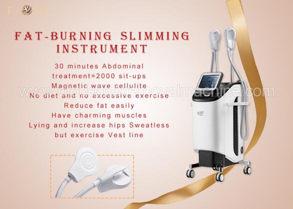 Vertical Style Cryolipolysis Fat Freezing Machine Cryo Slimming Machine 360S Model