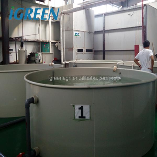Indoor Fish & Shrimp Recirculating Aquaculture System IGreen IGRAS Model 15-300cbm/h Capacity
