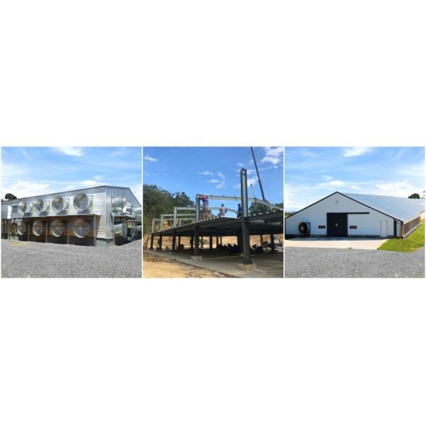 Fire Resistant Steel Structure Prefabricated Storage Buildings Warehouse Poultry House
