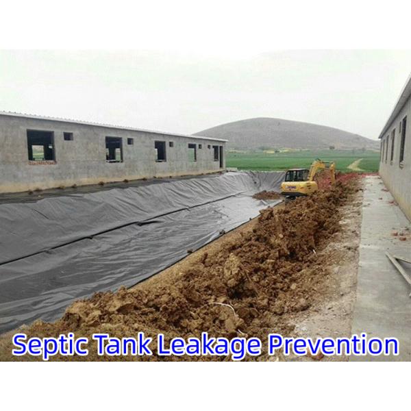 0.3mm-0.8mm Толщина HDPE Геомембрана Рыбный пруд линейка для лотосных прудов лотоса корневых прудов