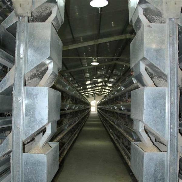 Equipamento agrícola rígido da grelha do quadro necessário para o peso pesado do cultivo de aves domésticas