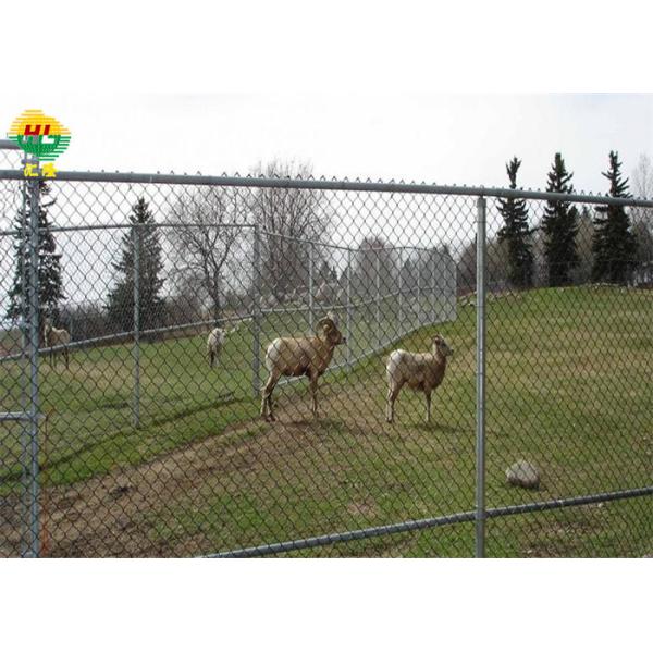 12 Gauge Plastic Coated Diamond Mesh Fencing 60*60 1.5m High For Farm