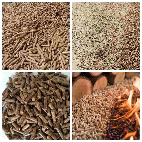 15kw Wood Pellet Mill 200kg/H Husk Sawdust Wood Pellet Machine Bimoass Fuel