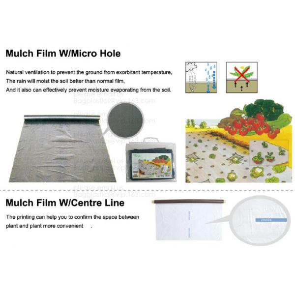 Weed Control Mulch Film, Agriculture Vegetable Black PE Films, 5 Holes Greenhouse Perforated Film