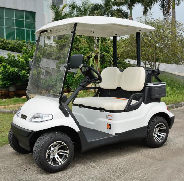 High Safe Mini Electric Vehicle Golf Cart With CE Certificate