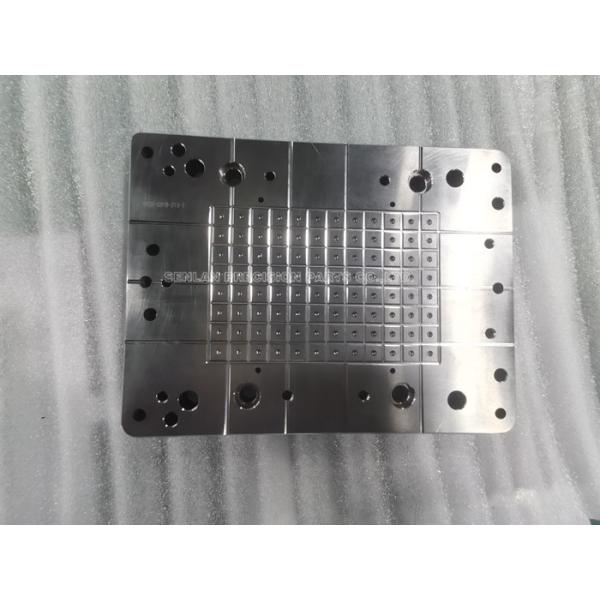 Precision Multi-Cavity Pipette Tips Mold Insert for Medical Injection Mold Tooling