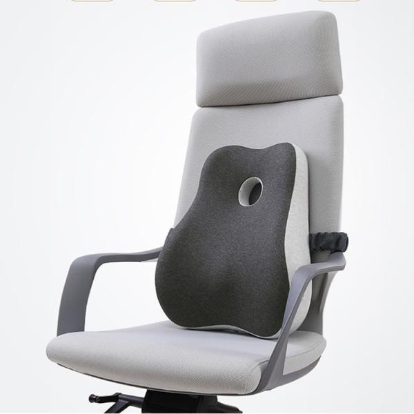 Memory Foam Back Cushion for Car Chair Home Office Modern Style Lumbar Support Pillow