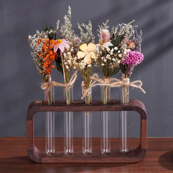 Space-Saving Hydrophilic Plants Vase with High Quantity Advantage in Transparent Glass