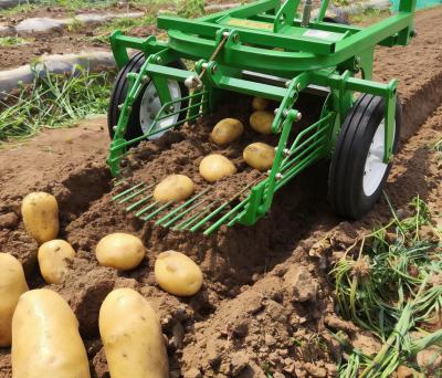 Farm Tractor Pto Mounted Small Sweet Potato Harvester