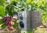 Estufa interna favorável ao meio ambiente da bomba de calor da fonte de ar que aquece Constant Temperature Planting Heat Pump