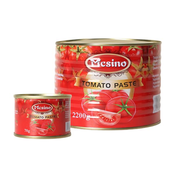 70g Ketchup Tomato Paste in Different Sizes Tin for Cooking