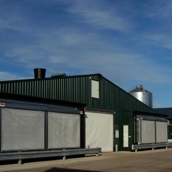 Prefabricated Steel Structure Livestock Building Poultry Farm House Animal