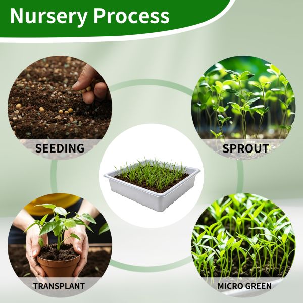 Customized White PET Square Green Micro Plant Hydroponic Cat Grass Seed Cultivation Tray With Transparent Lid